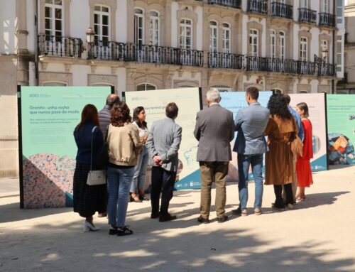 Lugo xa pode visitar a mostra ‘Tesouros da terra’