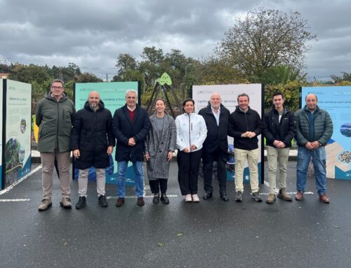 O Pino acolle a exposición “Tesouros da terra”