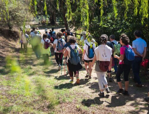 Galicia se suma a la celebración de Geolodía 2026 con excursiones gratuitas de divulgación geológica
